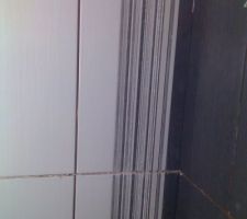 Faïence des WC en cours