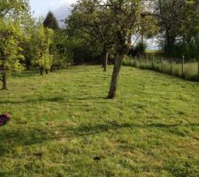 Vu sur notre verger (prunier puis cerisier et poirier) SUD OUEST