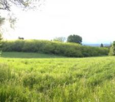 Champ  EST (Zone class&eacute;e naturelle)