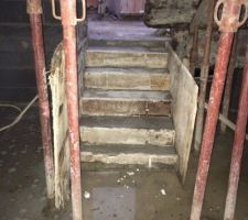 Voici l'escalier du garage vers le rdc.