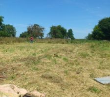 Mise au propre du terrain