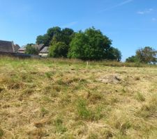 Mise au propre du terrain