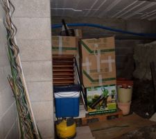 Vide sanitaire