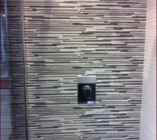 Voici le modèle de carrelage que nous avons bien aimé pour la salle de bain du haut...