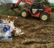 Aide du maçon pour abattre un arbre