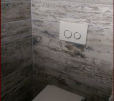 Les toilettes suspendus du rdc