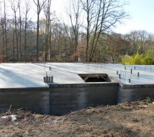 Dalle rez-de-chauss&eacute;e