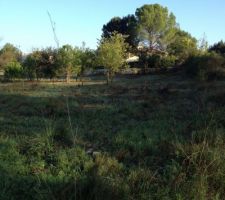 Vue du voisin au nord de notre terrain
