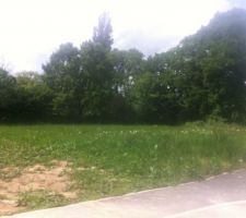 Le voilà le beau terrain qui pourra accueillir la belle!