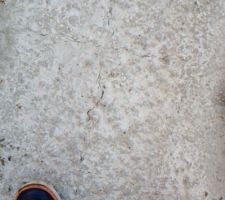 Les fissures remarquées la semaine dernière ne semblent être que superficielles, une lame de couteau ne passe pas, je suis plutôt rassuré!!