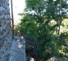 Mur moellon côté ravine