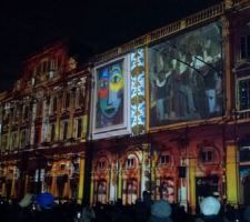 Musée St Pierre : fête des lumières  à Lyon