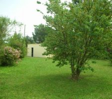 Le jardin (avant les travaux) avec le cabanon dans le fond