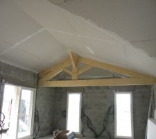 Plafond rampant salon