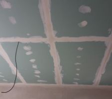 Faux plafond séjour