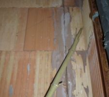 Fissure garage reprise par le cst avant l'expertise judiciaire vu de l'interieur