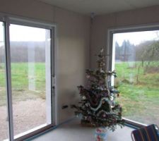 SAPIN