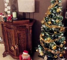 Sapin de Noël - 2014.