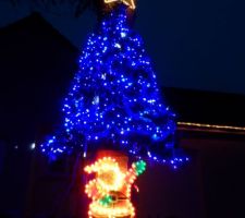Sapin de Noël - 2014.