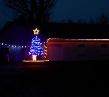 Sapin de Noël - 2014.