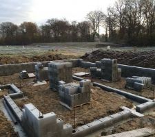 Vide sanitaire en cours