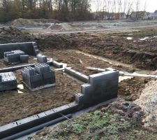 Vide sanitaire en cours