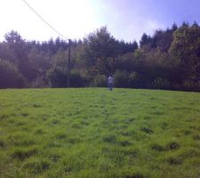 Terrain de 1500m2
vue globale
pentu un peu
pr&eacute; entour&eacute; de noisetier murier et houx