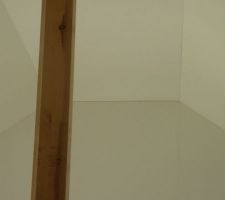 Fissures plafond salon.
