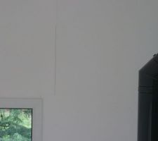 Fissures murs salon.