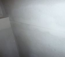 Fissures mur des WC étage.