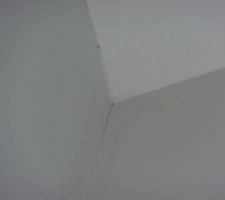 Fissures murs/plafond couloir