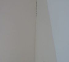 Fissure