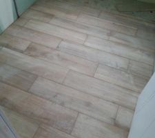 Carrelage de la SDB : Imitation parquet 20x80