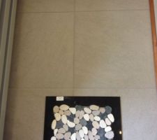 Choix carrelage pièce de vie, wc, sdb   sol douche italienne