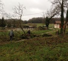 Nettoyage du terrain