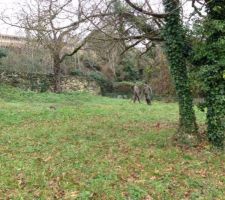 Nettoyage du terrain