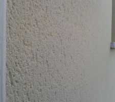 Détail de l'enduit