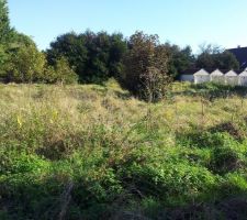 "Le clos Noefort" notre lot au bout à droite