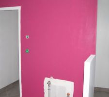 Le fuschia de la cuisine