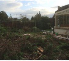 Retrait des tuyas d&eacute;molition