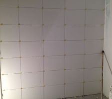 La salle de bain bient&ocirc;t finit