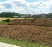 Premiers coups de pelles