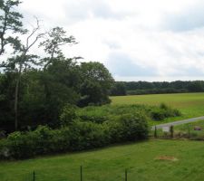 Terrain: vue sur les bois au sud