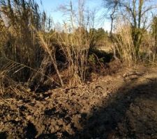 Fond à gauche lot 30