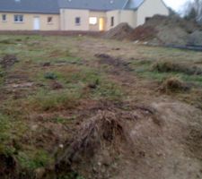 Face Nord Est du Terrain