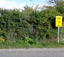 Cr&Atilde;?&Acirc;&copy;ation de l'entr&Atilde;?&Acirc;&copy;e:D y a du boulot !!!