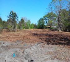 Les terrains en cours de lotissement