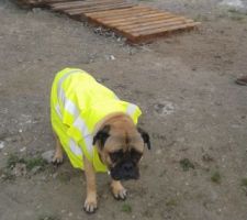 Nouveau conducteur de travaux