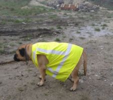 Nouveau conducteur de travaux