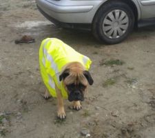 Mon nouveau conducteur de chantier